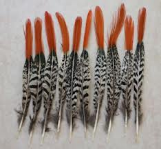 PHEASANT TAIL FEATHER NATURAL COLOR WITH TIP